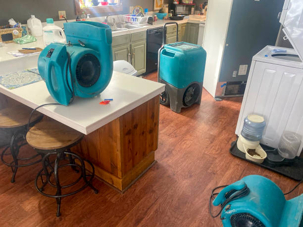Best Professional water damage repair  in Viola, IL