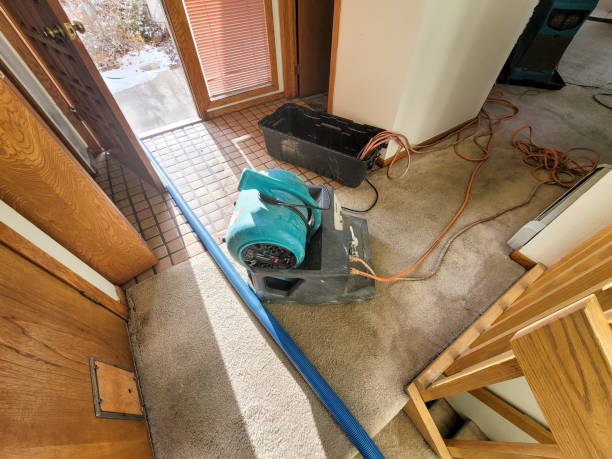 Best Water damage restoration specialists  in Viola, IL