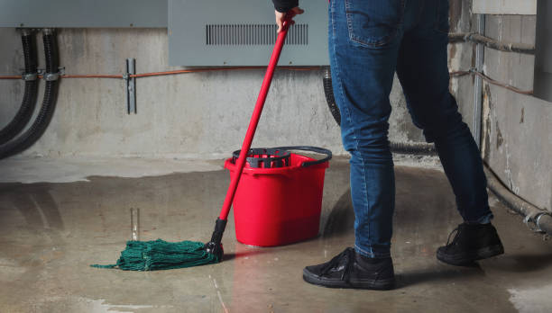 Best Mold removal after water damage  in Viola, IL