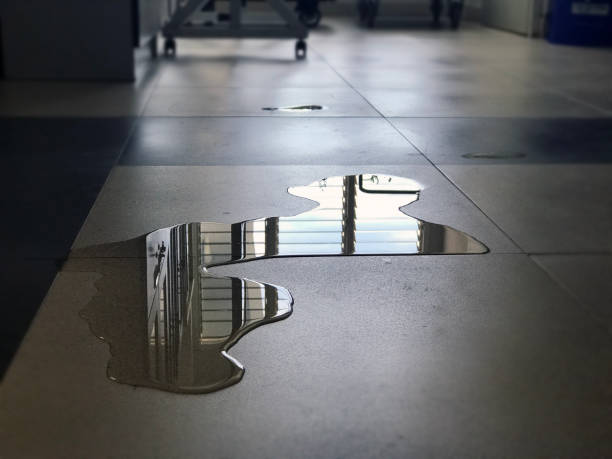 Best Water damage restoration near me  in Viola, IL
