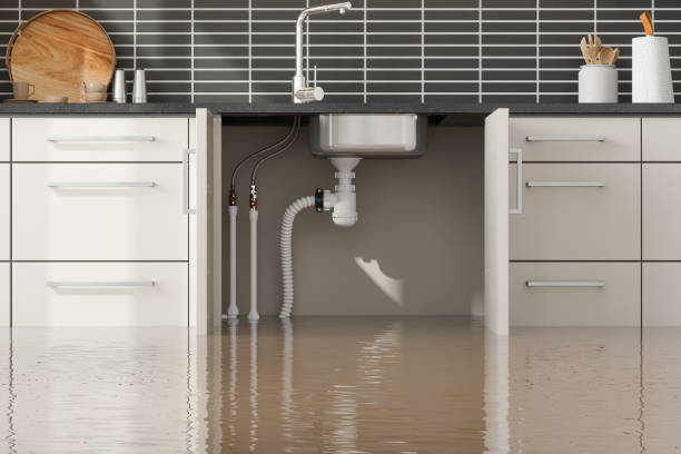 Best Flooded house restoration  in Viola, IL