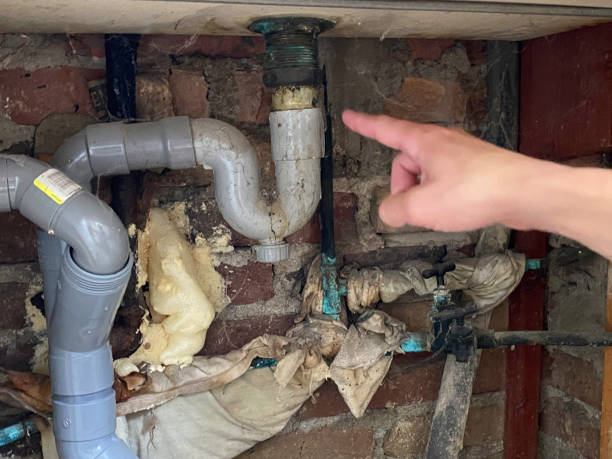 Reliable Viola, IL Water damage restoration Solutions